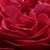 Vörös - Virágágyi grandiflora - floribunda rózsa - Pompadour Red